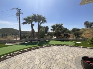 Bella Designs Turf Project 19