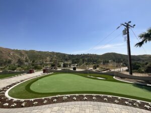 Bella Designs Turf Project 20