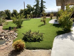 Bella Designs Turf Project 22