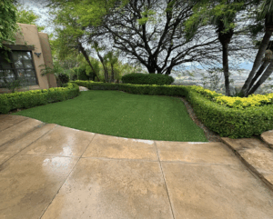 Bella Turf 3